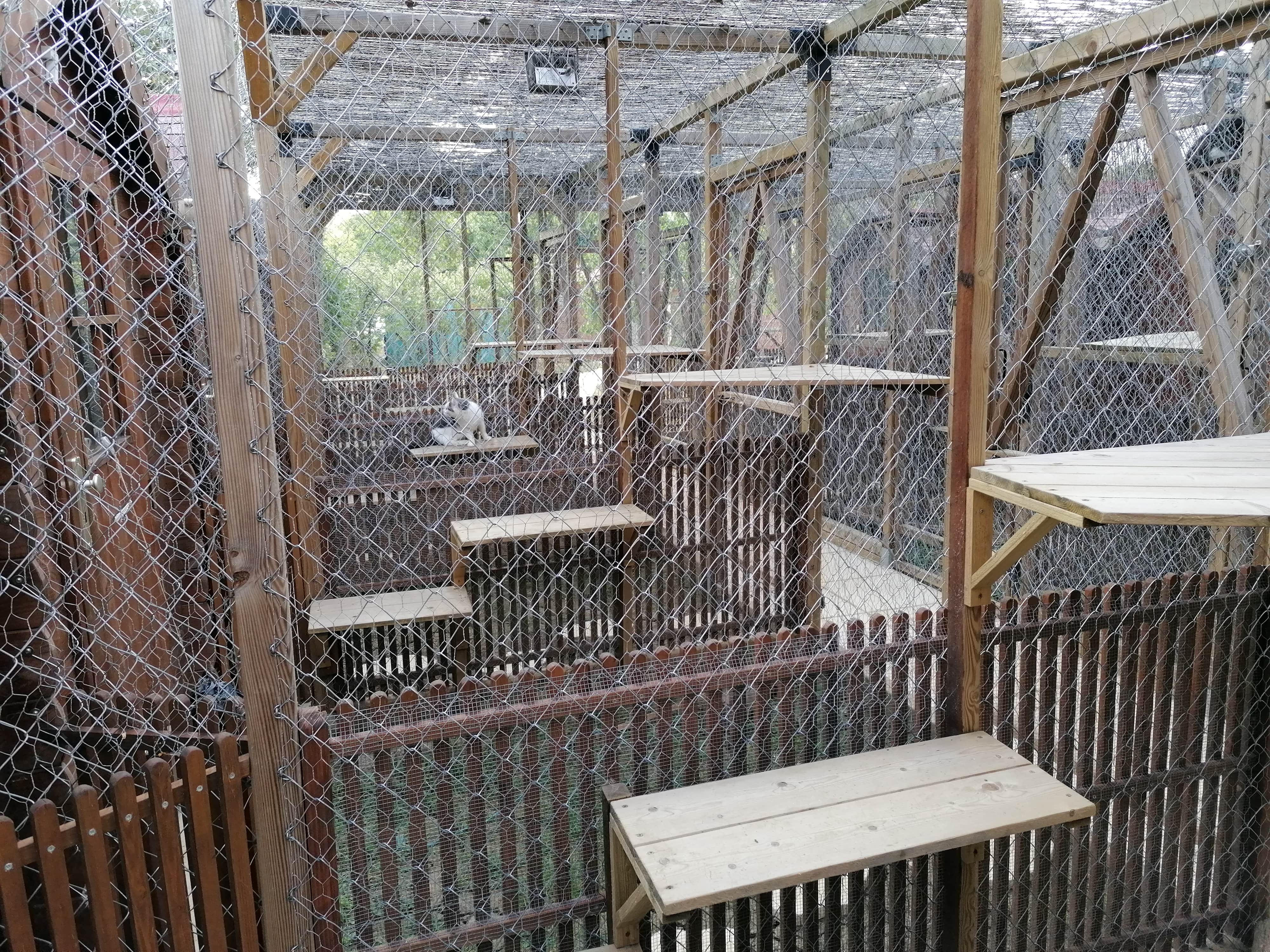 IMG_20200818_091710-min.jpg