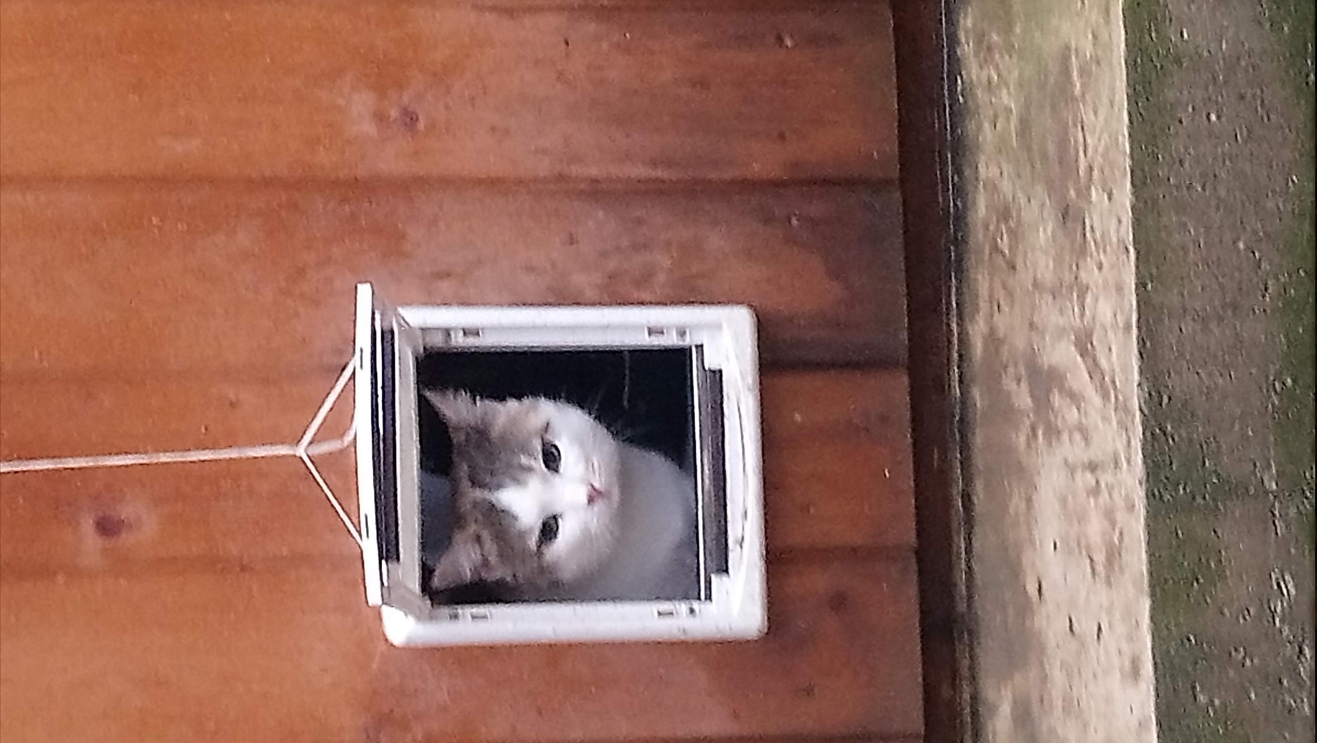 DSC_0610.JPG
